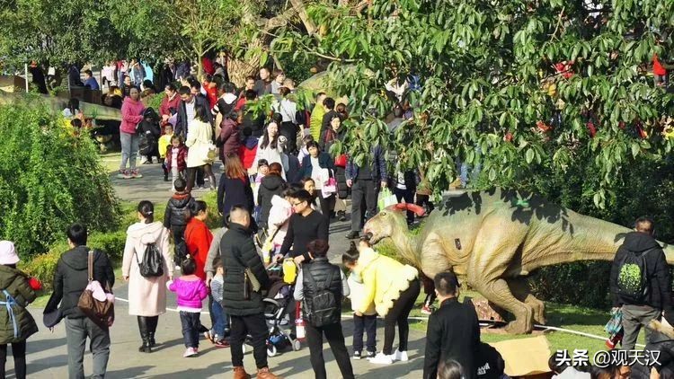 汉中恐龙乐园免费地点,汉中恐龙乐园门票