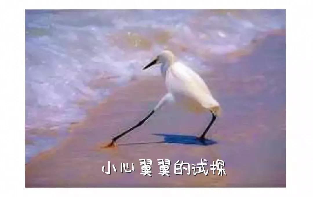 微信扫码转账转错人教你一招追回,微信转账错了对方未领取怎么追回