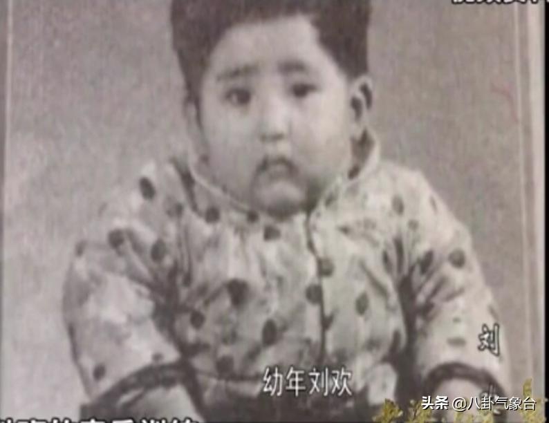 刘欢和戴志诚的视频,刘欢戴志诚完整版