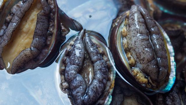 新鲜鲍鱼最简单的吃法,超下饭的香菇素鲍鱼了解一下