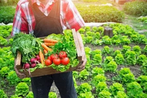 社区团购怎么做三分钟带你读懂,在一个城市里如何做好社区团购