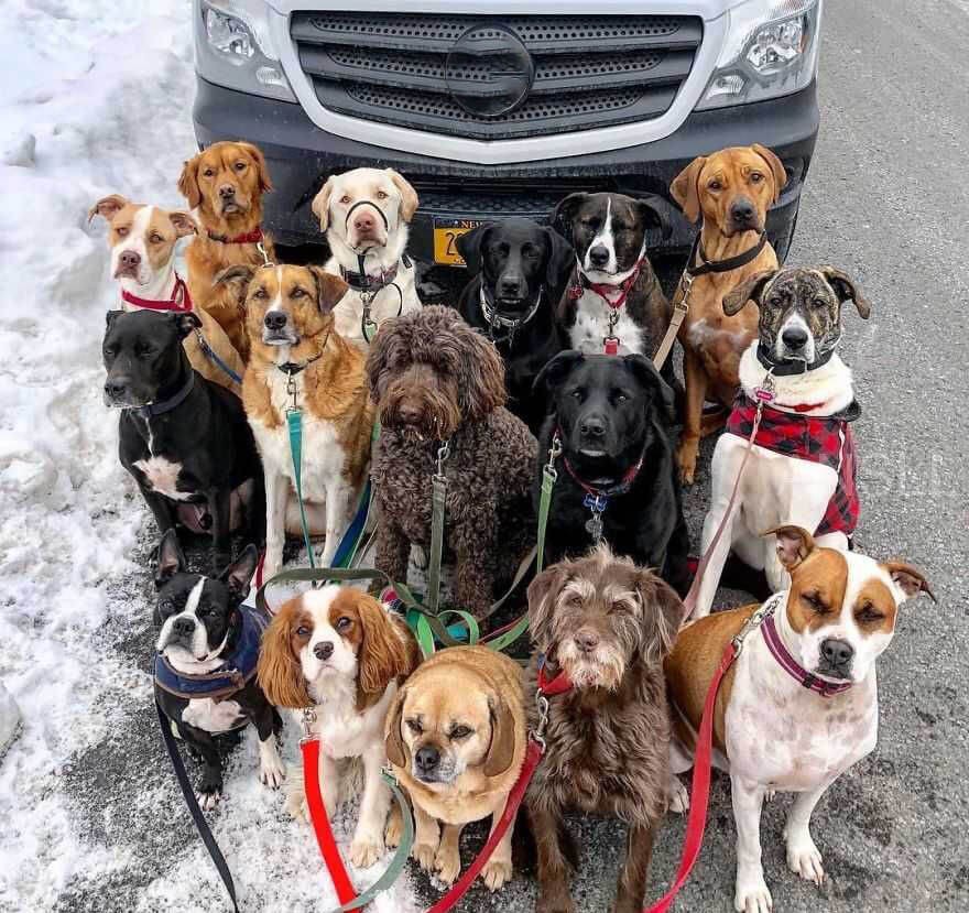 被*脑洗**成“信仰”?蔚来汽车500勇士,你们啥也不是