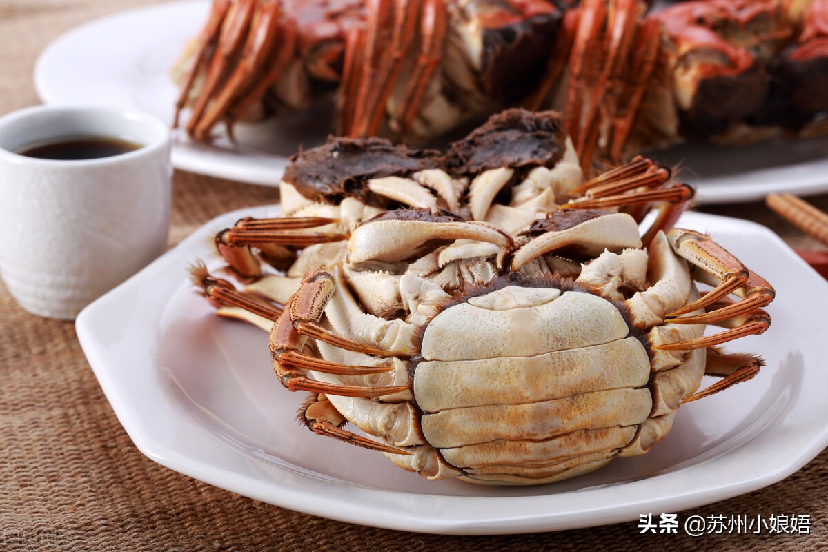 苏州冷知识,苏州冷知识分享