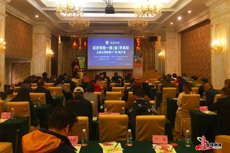 鍔涢噺2020,鍔涢噺2022