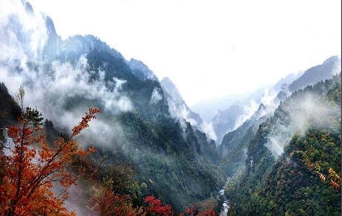 湖北神农架旅游景点大全攻略,湖北神农架旅游景点排行榜前十
