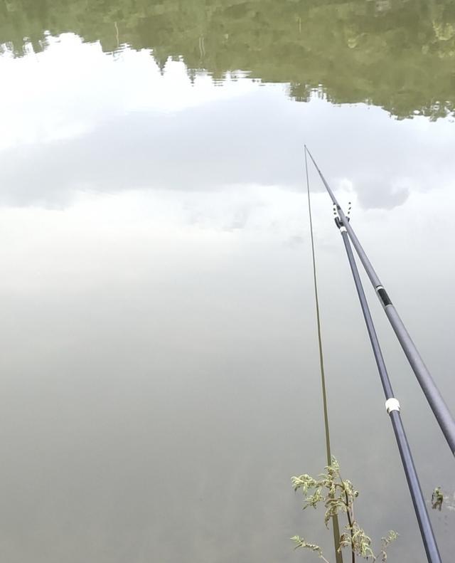 一味台钓线,一味经典线组