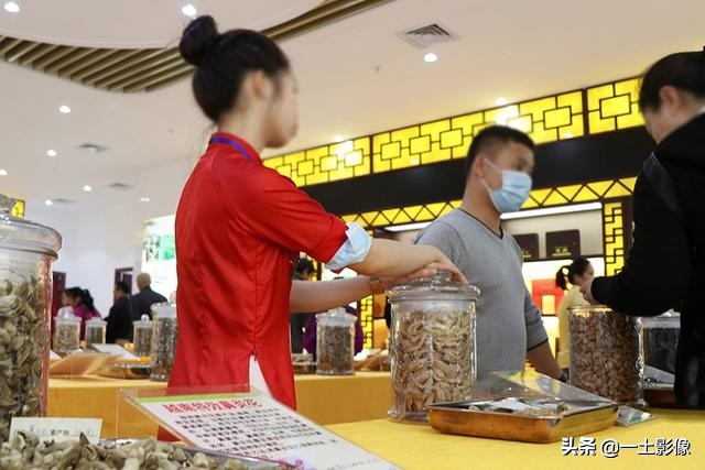 越南芒街下龙河内,越南芒街到下龙大巴