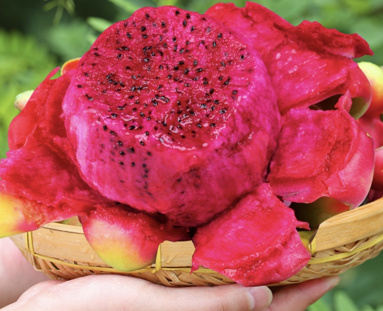 比较适合三伏天的食物你知道多少,三伏天暑湿较重吃什么蔬菜