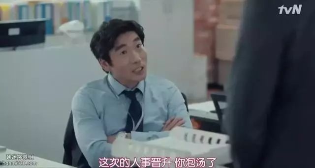 中年职场人：树挪死人挪活，不要做“抵抗性下跌”|五一特献“职场人全生命周期危机*局破**”