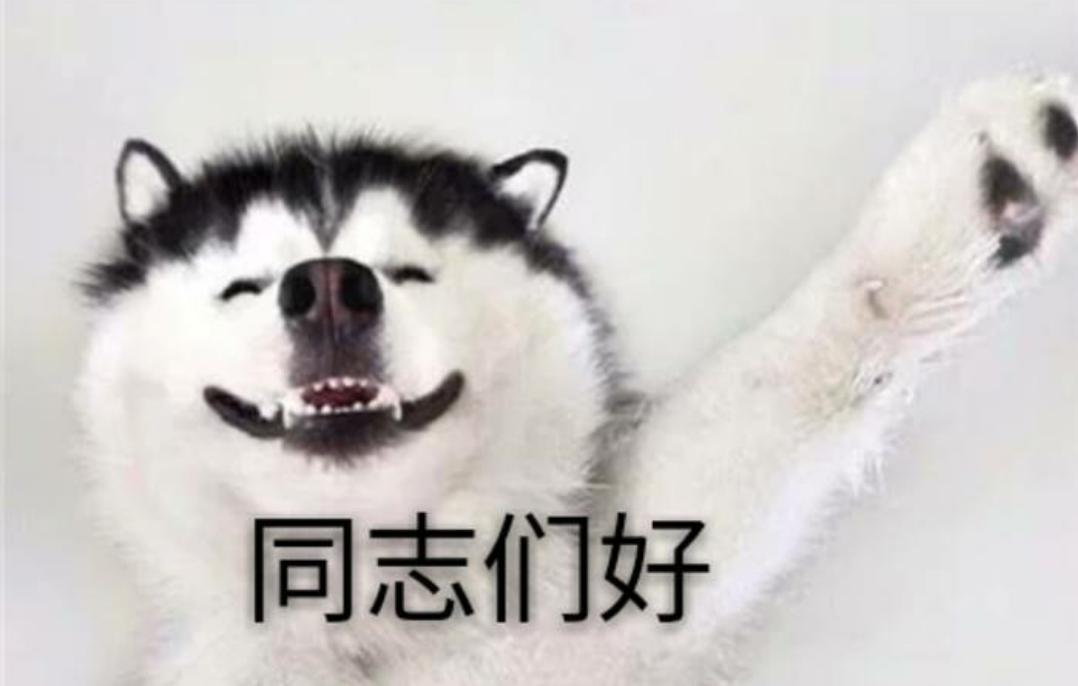 迷人的女反派动漫,可爱又迷人的反派角色蔡敏敏