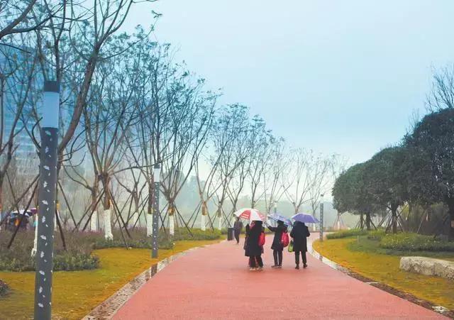 3月底天府绿道哪段最美,天府绿道介绍及特色