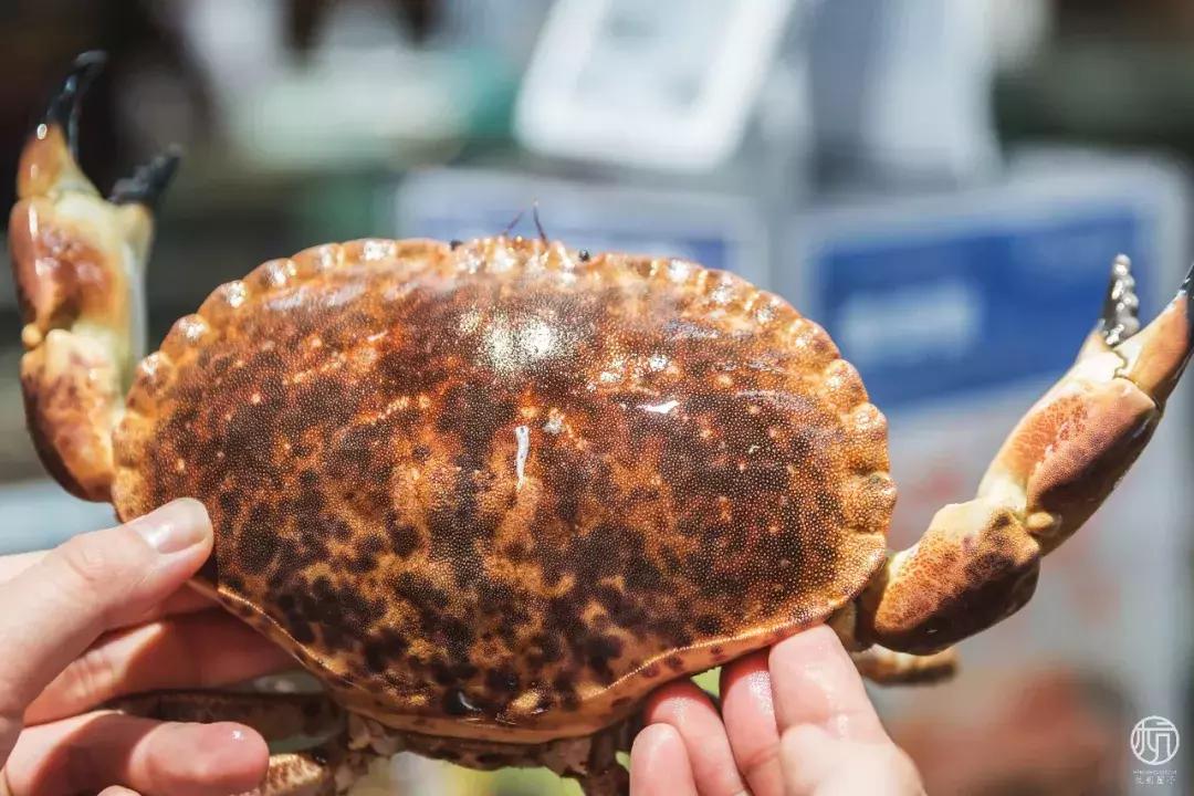 双十一剁手商品指南,双十一大牌清仓购物券