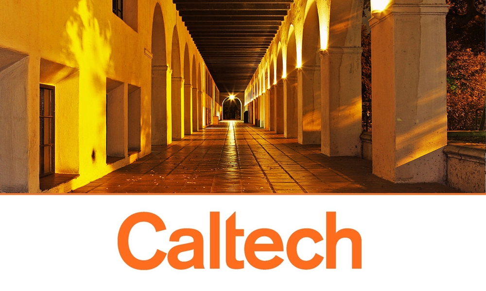 美国留学生讲述真实故事,美国留学生学习水平