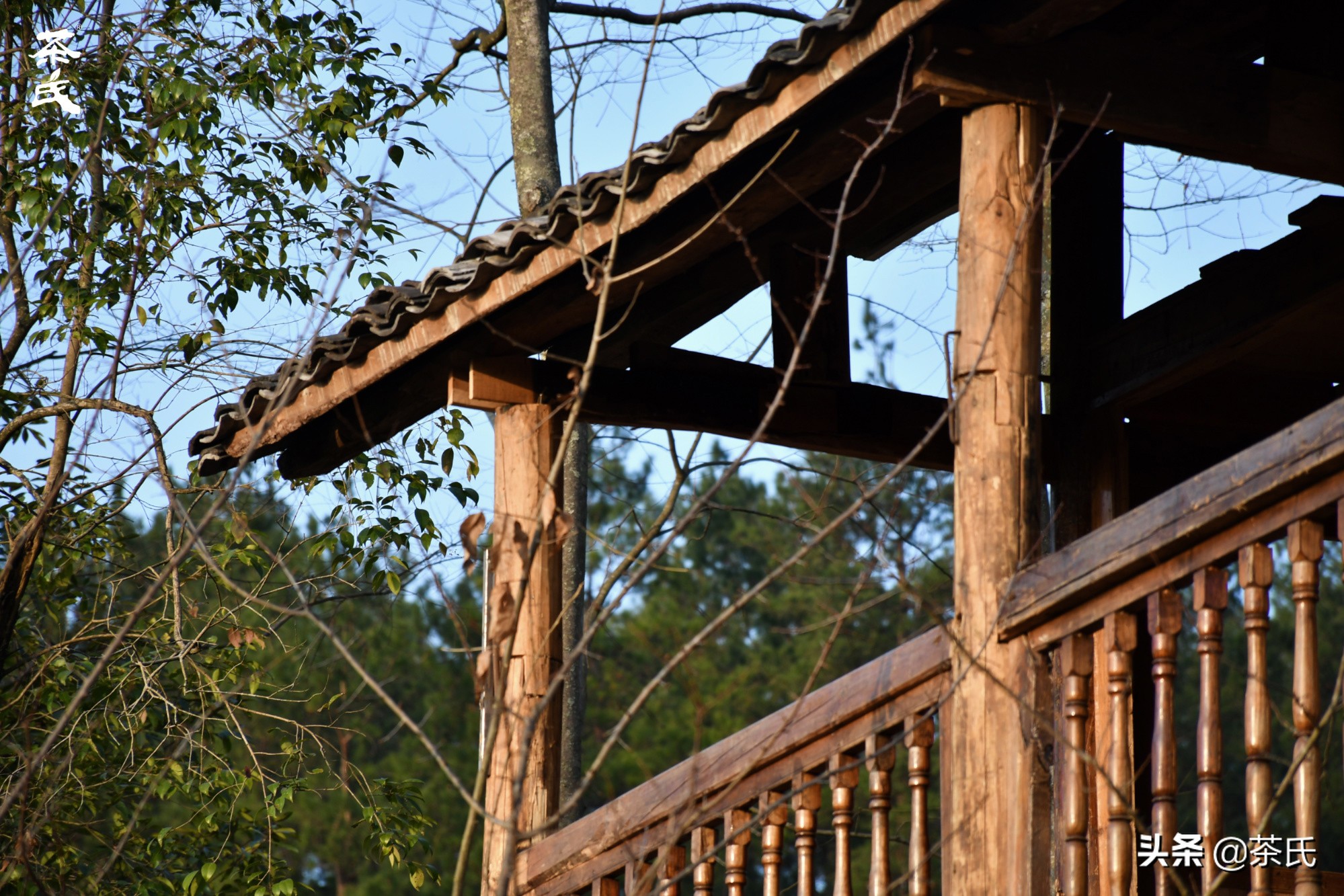 山居生活借山而居,徐州观心山居