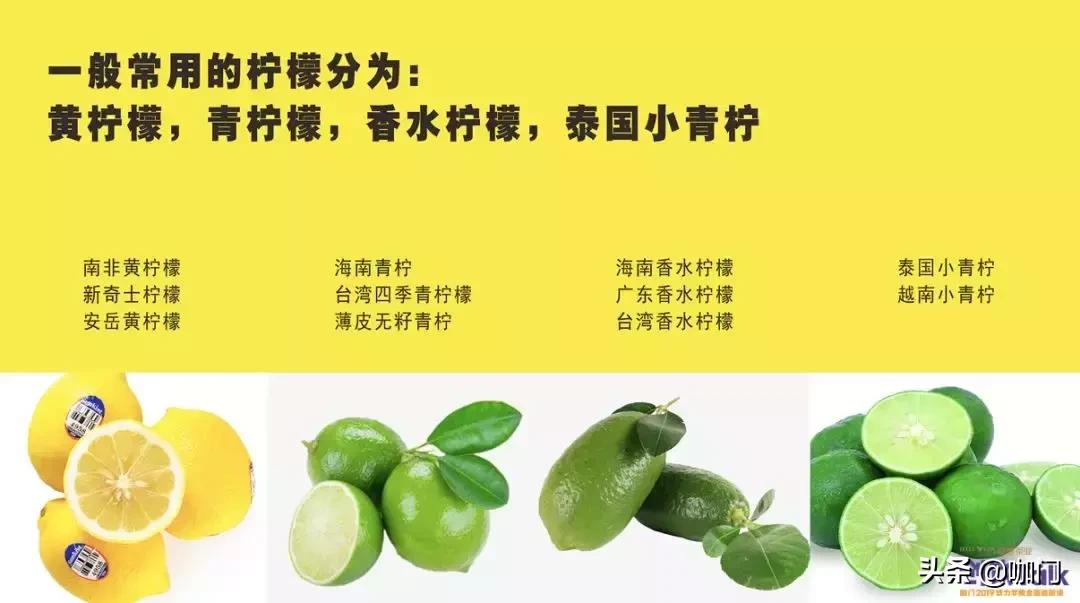 比奶茶好喝的柠檬茶 (疯狂的柠檬茶比奶茶易成瘾)