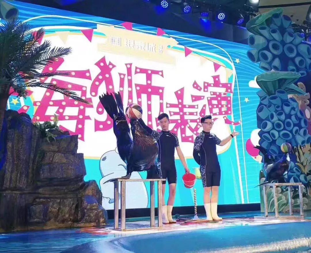 端午节遇上檀溪谷，奇幻海洋世界美爆你的视觉、味觉！