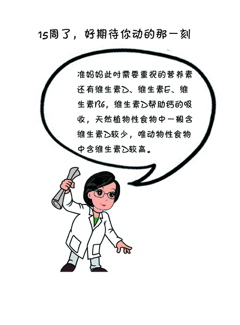 15周的胎儿发育全了吗,15周的胎儿发育得怎么样了