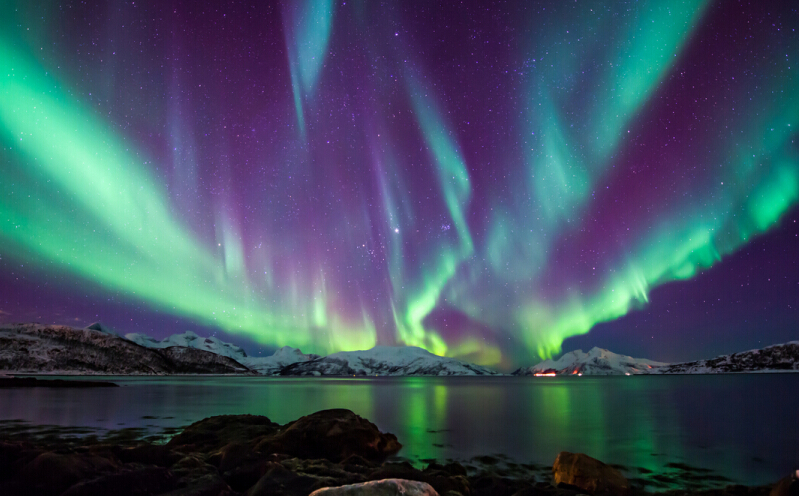 挪威钞票上比鲁迅小一岁的美女作家,因写了一篇小说获得诺贝尔奖