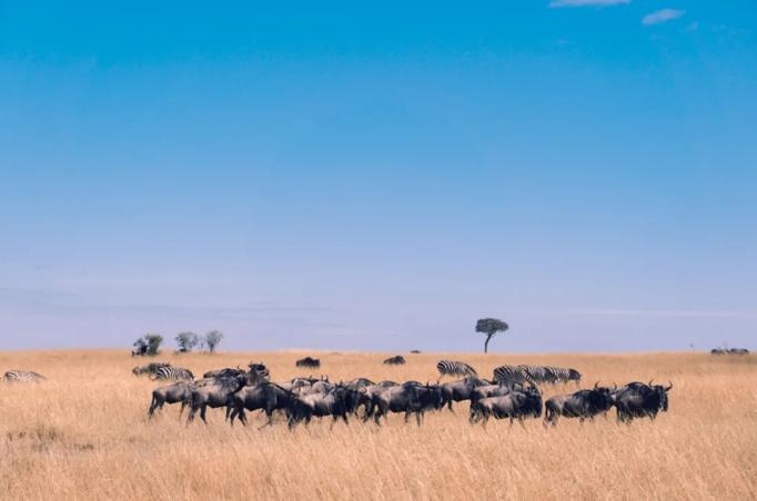 女孩7月大开始旅游，13岁走过25个省市、5大藏区和20多个国家