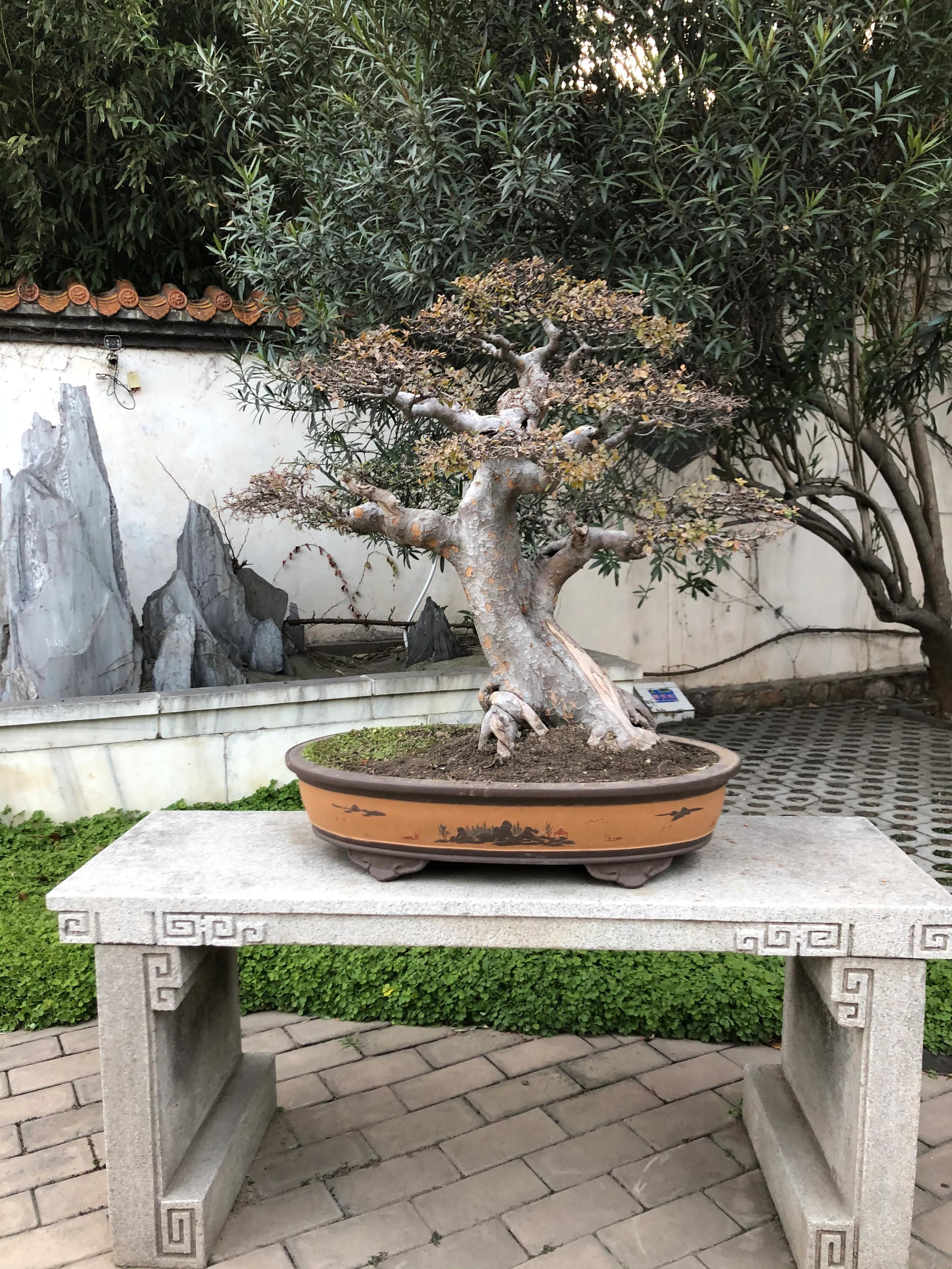 平顶山河滨公园旅游攻略,平顶山森林公园游记