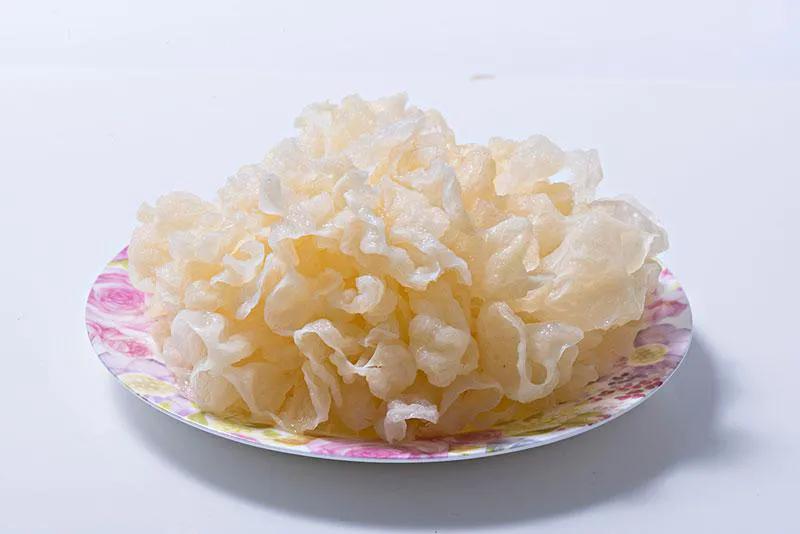 真菌小知识,关于真菌的认知