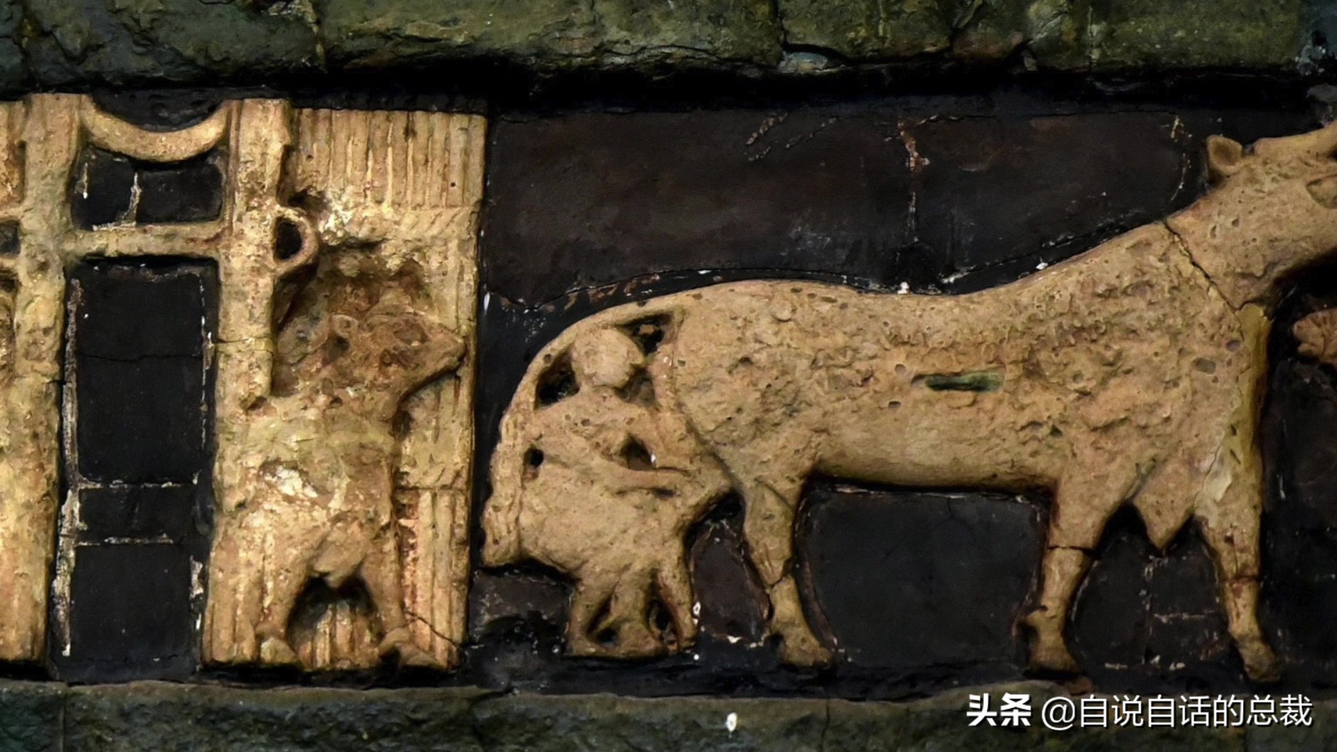 阿努纳奇创造人类7次文明,阿努纳奇人类起源