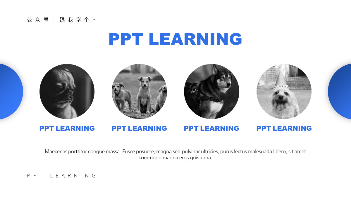 手把手教你高逼格的ppt,10分钟制作一个高质量的ppt