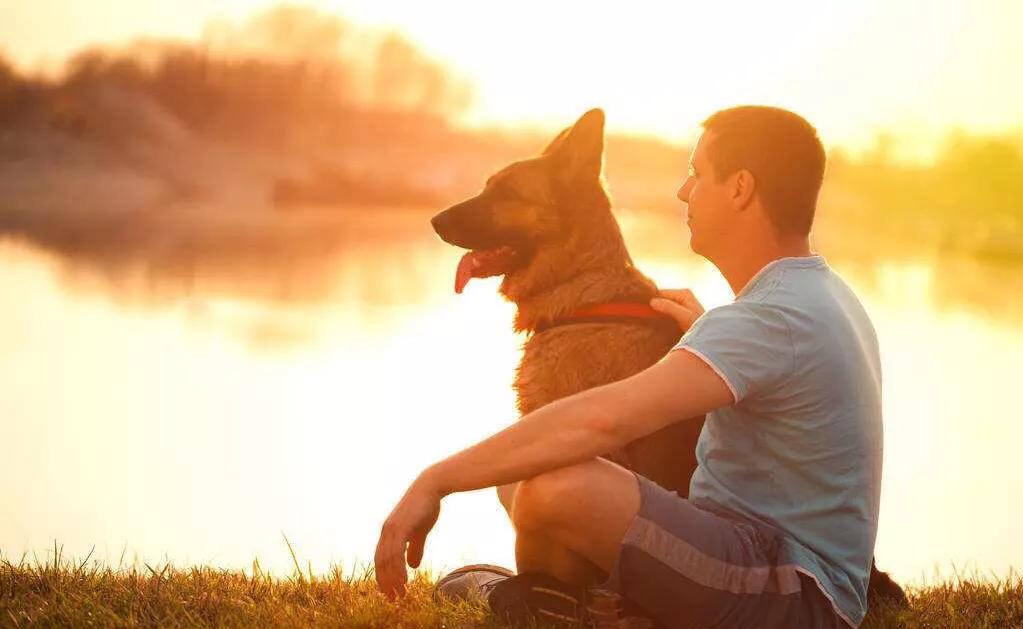 太嚣张遛狗不牵绳还打人已被刑拘,杭州遛狗不牵绳还打人处理结果