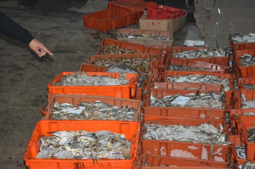 福建十大海鲜市场,厦门十大顶级海鲜市场