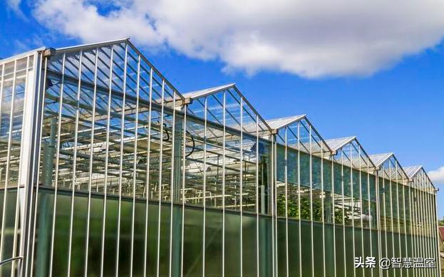 在这里玻璃温室和植物花卉才是标配，越来越受投资者的青睐