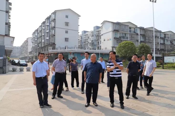 成都统一战线走基层专题活动,成都市统一战线走基层活动