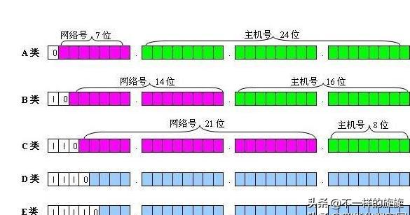 电脑网络基础知识指哪些,网络技术基础怎么学好