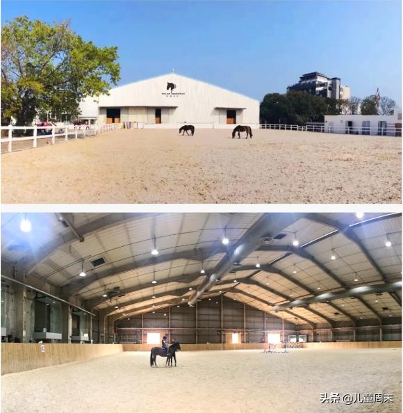 深圳海边骑马地点推荐,深圳骑马最佳地点