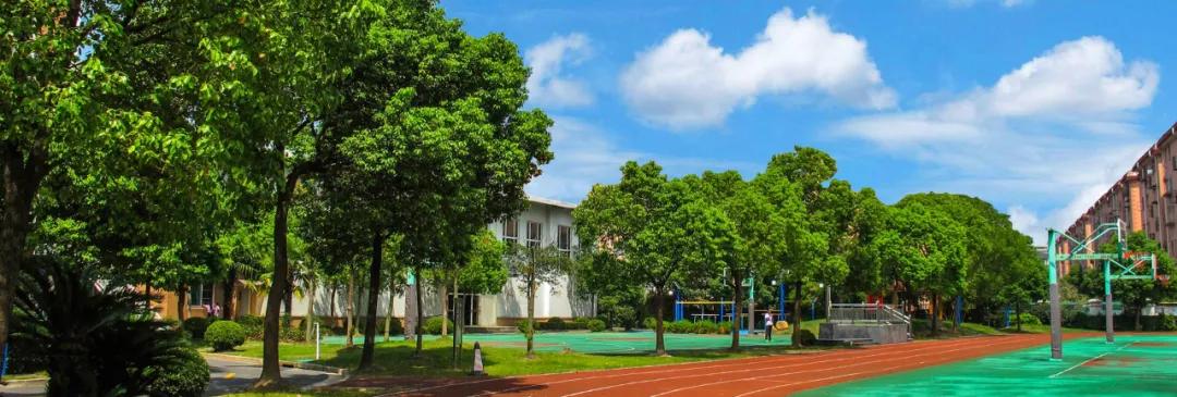 4个“位育”、6个“上实”…这些名字相近的学校，实力却天壤之别