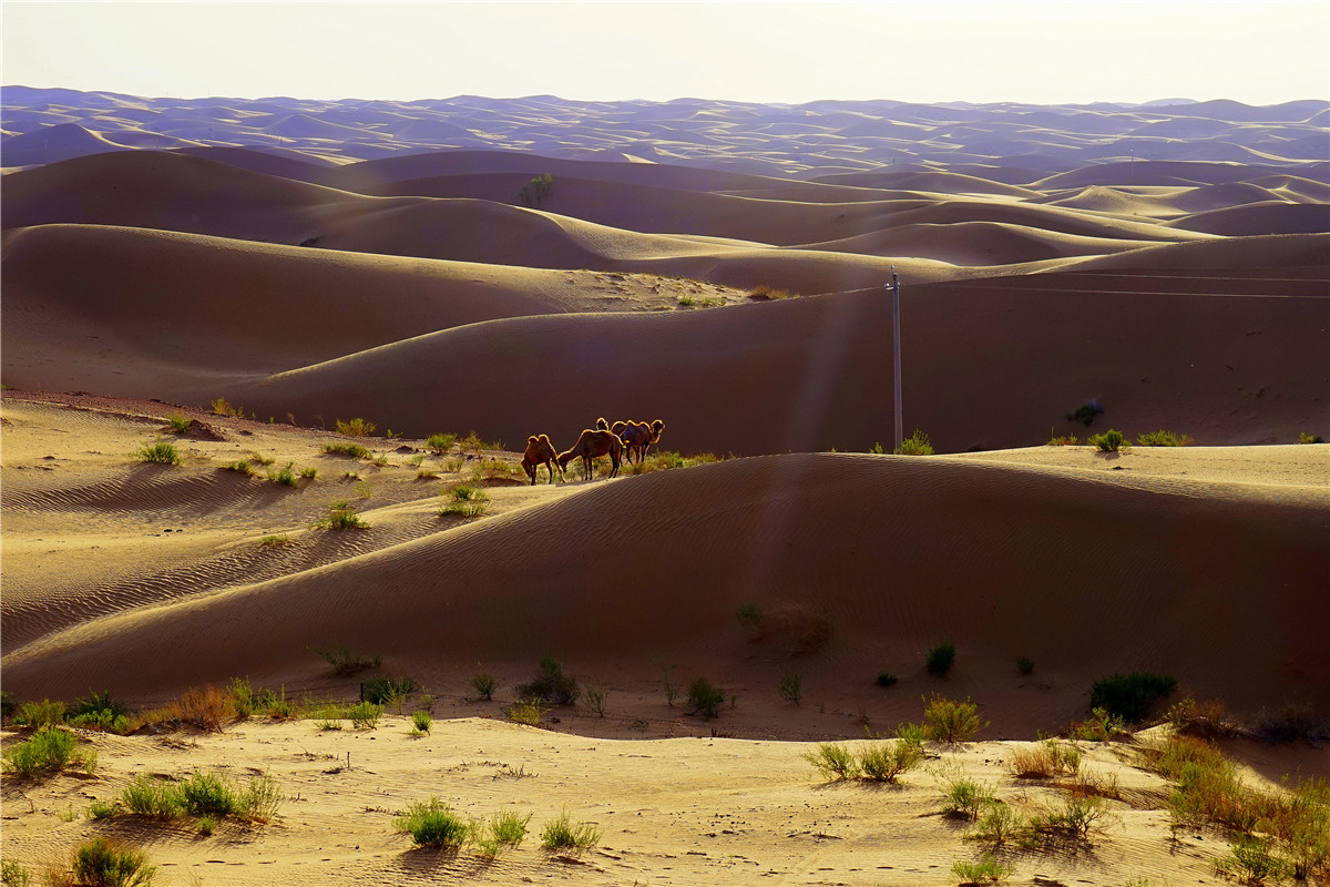 索尼微单陪我去看最美的世界 (退休以后我的旅途与索尼微单相伴)