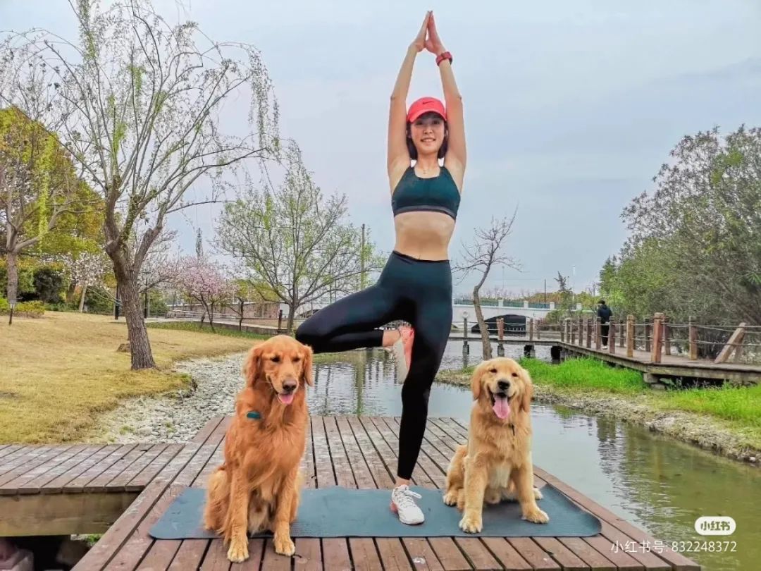 2022年上海遛狗圣地,2021上海遛狗圣地