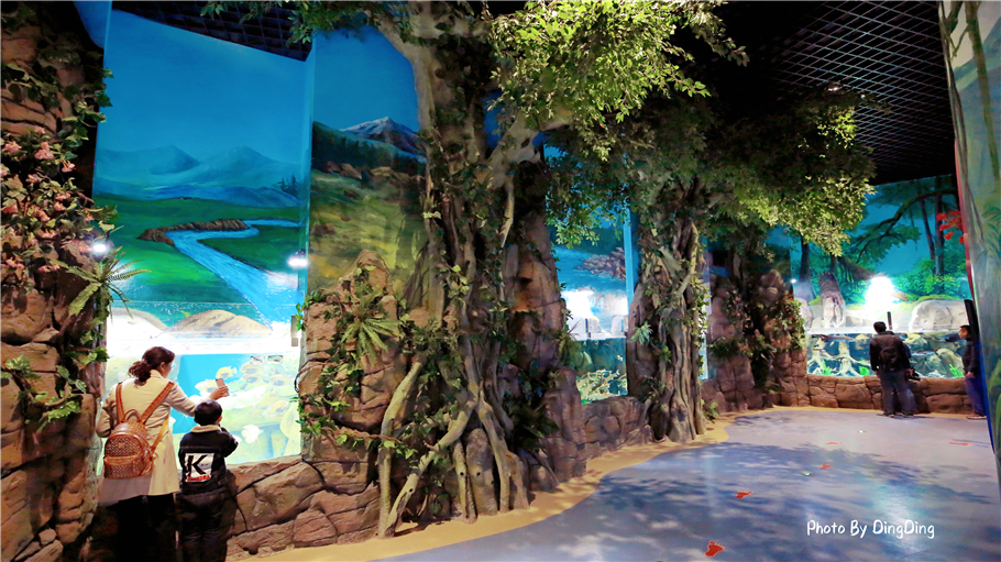 迪士尼能走多远,迪士尼乐园有多远