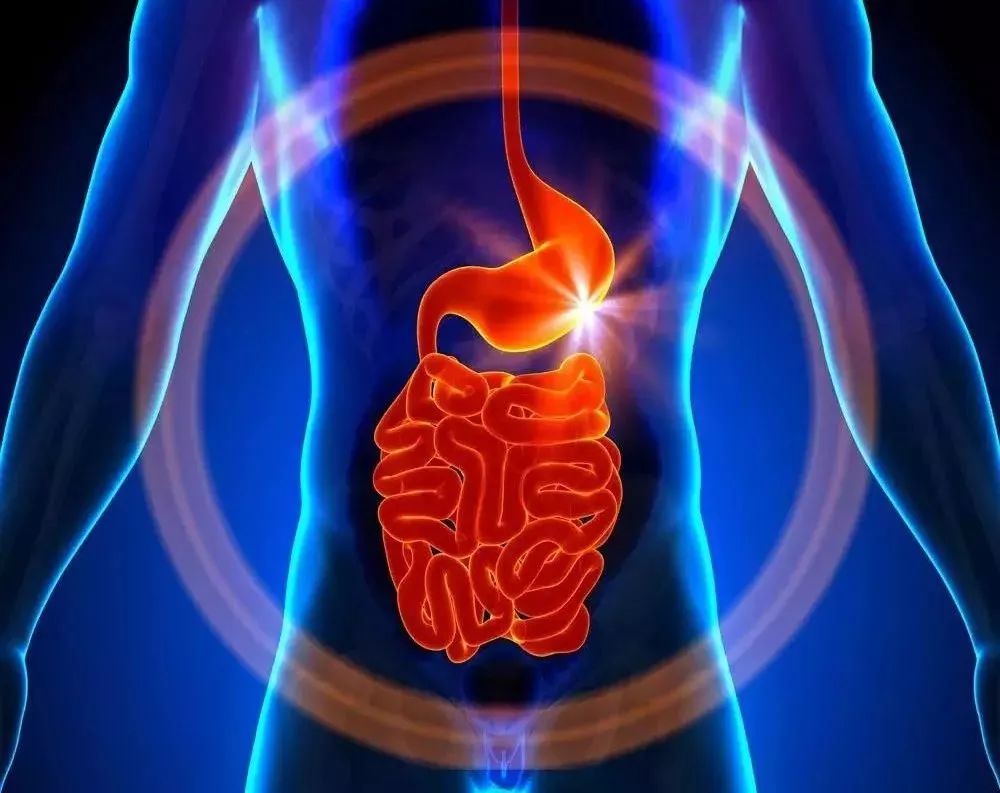 疫情蔓延，免疫力提高是关键！益生菌的秘密你应该要记住