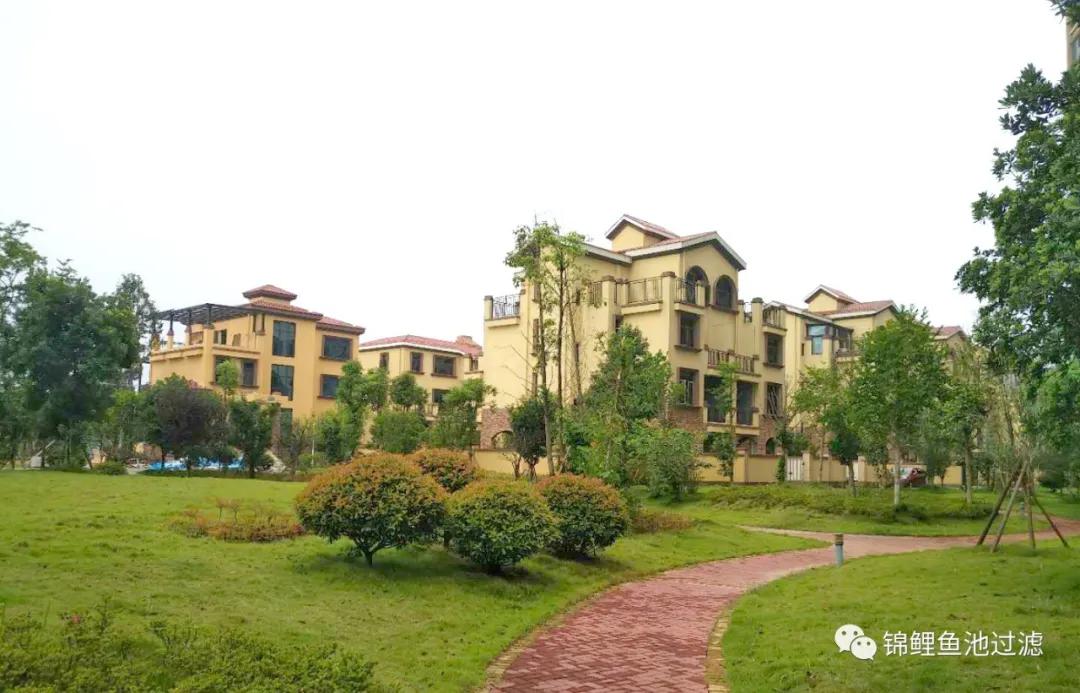 养锦鲤必备的一款鱼池过滤器,锦鲤鱼池过滤器自制方法