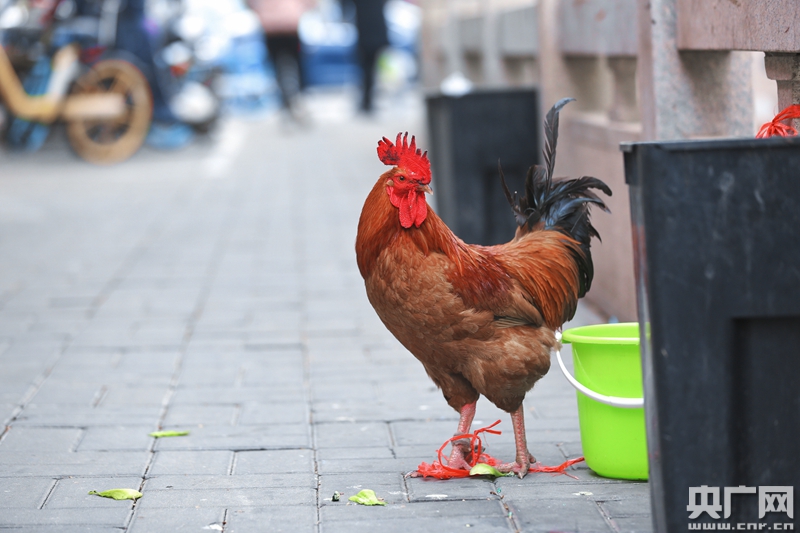 济南到湘西多少公里,济南湘西