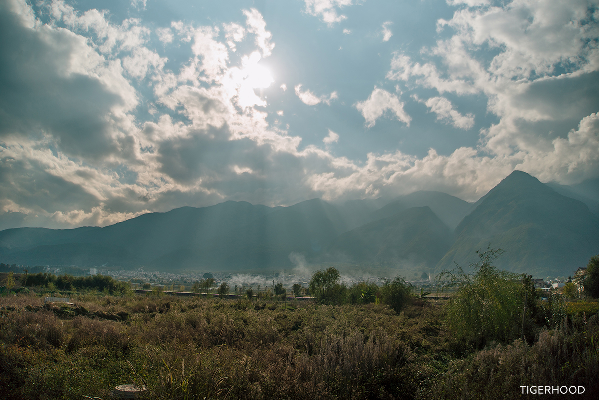 太格有物怎么样,太格有物