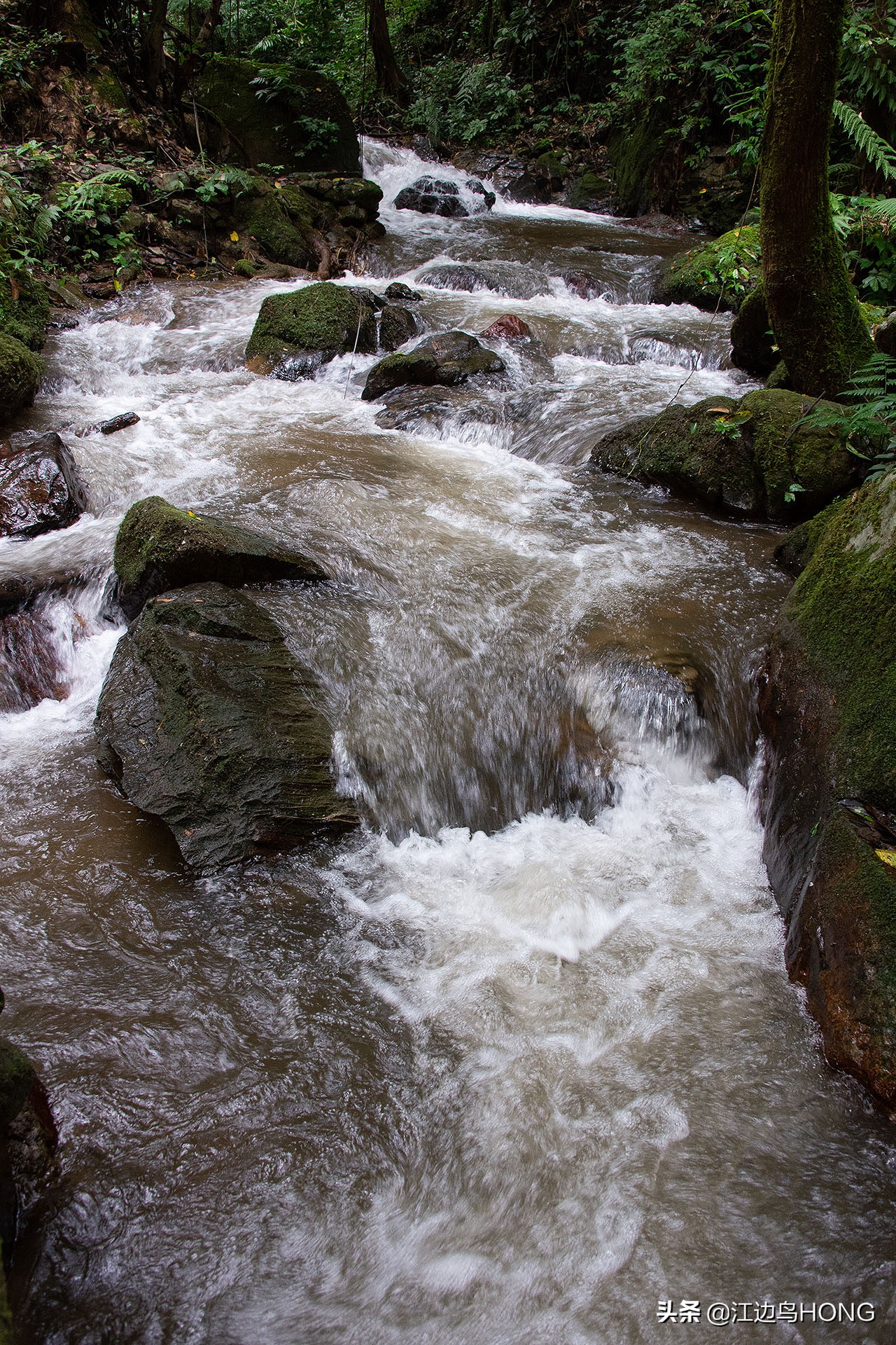 溪水潺潺心旷神怡,美景溪水潺潺