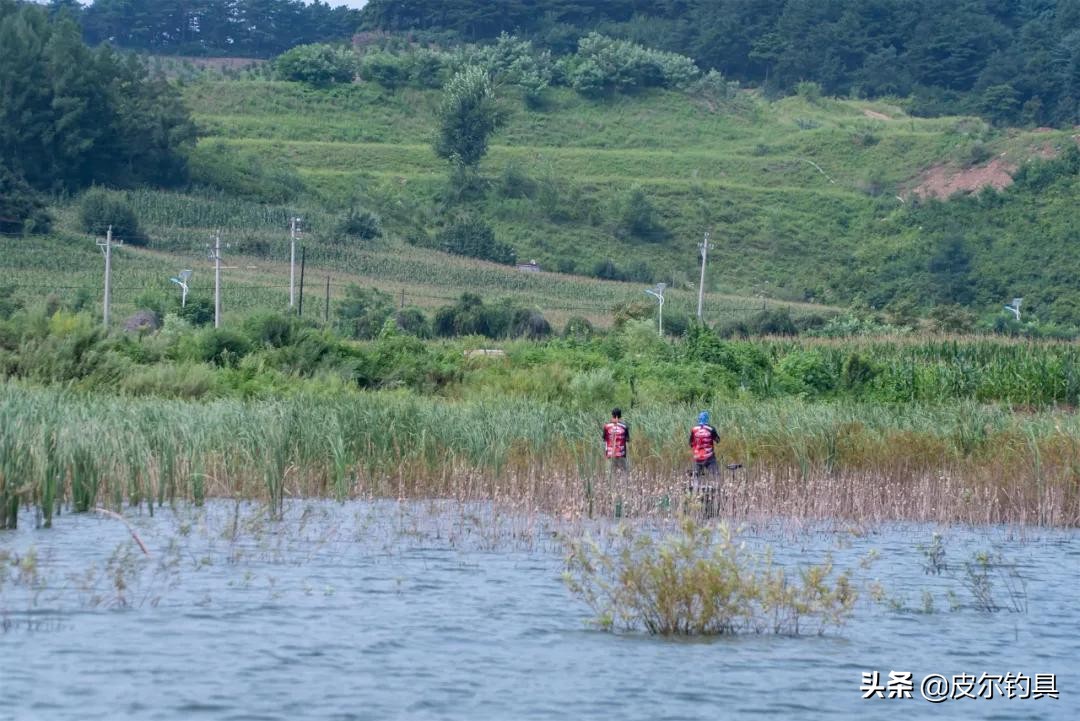 皮尔渔具展会直播,皮尔钓具官方旗舰店直播