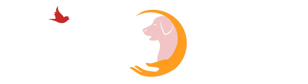 啧啧啧~断绝它的“性”福之路前你有仔细考虑吗？