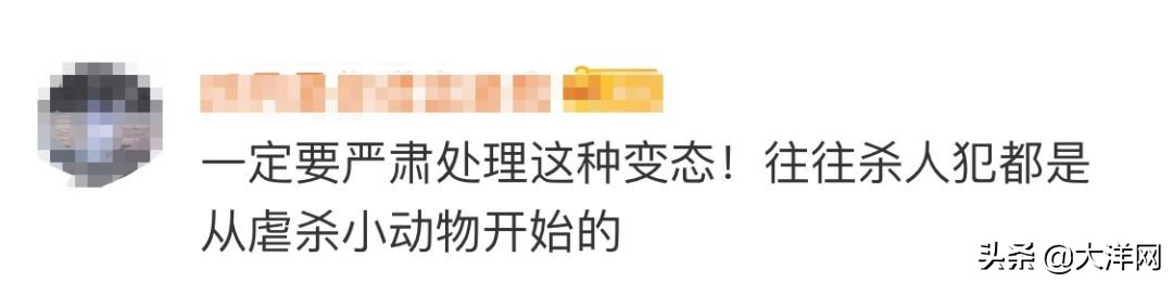 成都理工大学虐狗处理结果,成都理科研究生虐狗事件