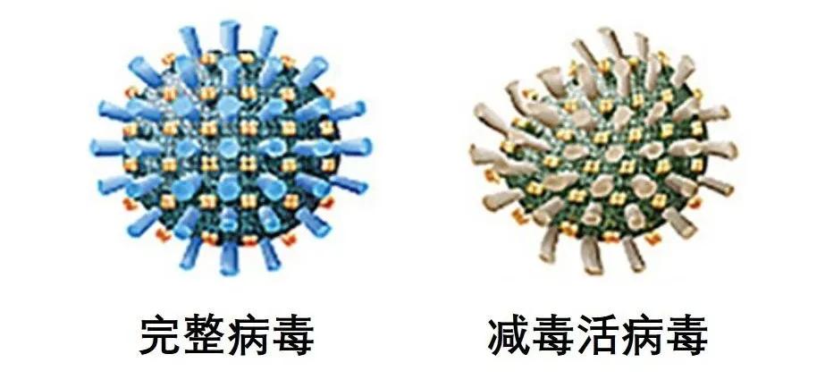 大家对新冠疫苗的看法采访,新冠疫苗第2剂接种