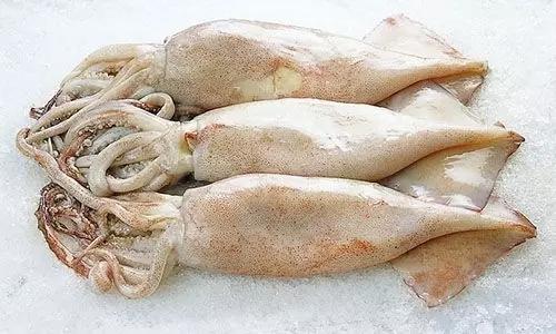 史上最全面的海鲜大咖,史上最全海鲜视频