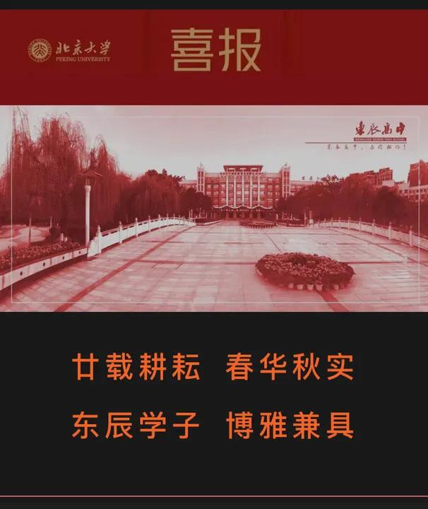 东辰比赛组别,2021东辰杯足球邀请赛