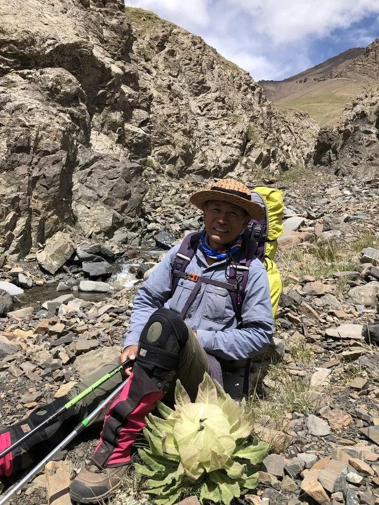 天狼之路是否值得一走,传说中的天狼