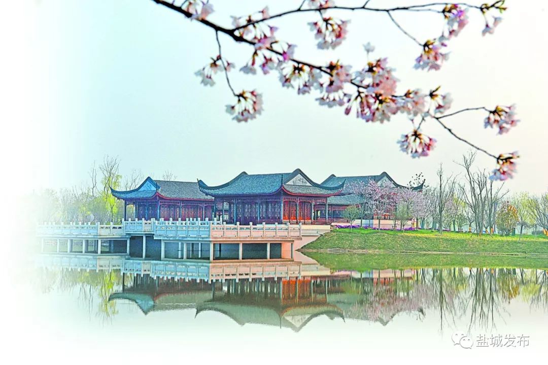 给力！盐城“组团”冲刺